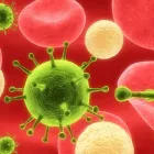 Business 21 image 1COMPUTERSERVICES INC. (1CS) It Services in Toronto ON