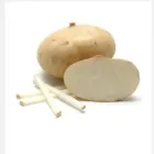 Business 1 image 2 RAMIREZ IMPORTS LTD Road Haulage & Freight Forwarding in Vancouver BC