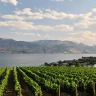 Entreprises 6 image AA SEPTIC SERVICES Septic Tank Installation, Repair & Maintenance dans West Kelowna BC