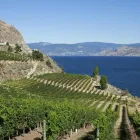 Entreprises 8 image AA SEPTIC SERVICES Septic Tank Installation, Repair & Maintenance dans West Kelowna BC