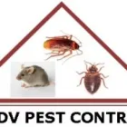Entreprises 1 image AABS DON VALLEY PEST CONTROL dans Toronto ON