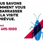 Entreprises 1 image ABIOSPHÈRE EXTERMINATION - EXTERMINATEUR Pest & Vermin Control dans Montréal QC