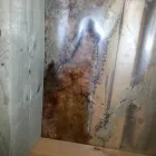 Business 3 image ABRISPEC Mold Testing & Removal in Gatineau QC
