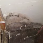 Business 11 image ABRISPEC Mold Testing & Removal in Gatineau QC