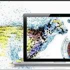 Business 1 image ACANAC INC Internet Service Providers in Toronto ON