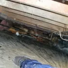 Business 4 image ACME HOME INSPECTIONS Real Estate & Home Improvement in Coquitlam BC