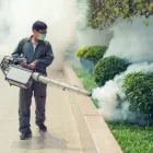 Entreprises 4 image ACME PEST SOLUTIONS Pest & Vermin Control dans Mississauga ON