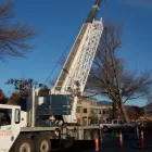Entreprises 4 image ACTION TREE SERVICE Tree Work & Forestry Services dans Kelowna BC