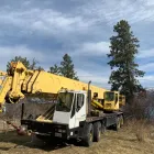 Entreprises 6 image ACTION TREE SERVICE Tree Work & Forestry Services dans Kelowna BC
