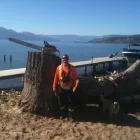 Entreprises 7 image ACTION TREE SERVICE Tree Work & Forestry Services dans Kelowna BC