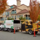 Entreprises 9 image ACTION TREE SERVICE Tree Work & Forestry Services dans Kelowna BC