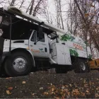 Entreprises 1 image ACTION TREE SERVICE Tree Work & Forestry Services dans Kelowna BC