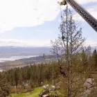 Entreprises 3 image ACTION TREE SERVICE Tree Work & Forestry Services dans Kelowna BC