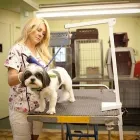 Business 1 image ADORABLE ANIMAL Pet Grooming Services in Pierrefonds QC