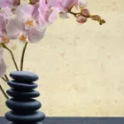 Business 2 image AH MASSAGE THERAPY Massage Therapists in Toronto ON