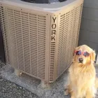 Entreprises 17 image AIR TEMP HEATING & COOLING SPECIALIST Real Estate & Home Improvement dans West Kelowna BC