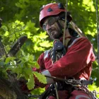 Entreprises 2 image AL MILEY TREE REMOVAL Tree Service/surgeons dans Mississauga ON