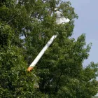 Entreprises 3 image AL MILEY TREE REMOVAL Tree Service/surgeons dans Mississauga ON