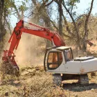 Entreprises 5 image AL MILEY TREE REMOVAL Tree Service/surgeons dans Mississauga ON