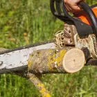 Entreprises 7 image AL MILEY TREE REMOVAL Tree Service/surgeons dans Mississauga ON