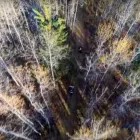 Business 7 image ALTUS GEOMATICS LTD PARTNERSHIP Surveyors in Edmonton AB