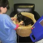 Entreprises 1 image AMBASSADOR ANIMAL HOSPITAL Health & Medicine dans Windsor ON