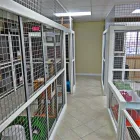 Business 8 image AMI POUR LA VIE Shopping in Montréal QC