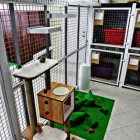 Business 10 image AMI POUR LA VIE Shopping in Montréal QC