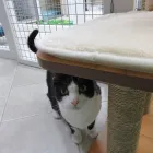 Business 12 image AMI POUR LA VIE Shopping in Montréal QC