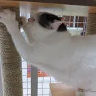 Business 13 image AMI POUR LA VIE Shopping in Montréal QC