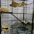 Business 15 image AMI POUR LA VIE Shopping in Montréal QC