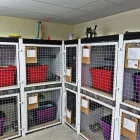 Business 18 image AMI POUR LA VIE Shopping in Montréal QC