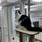 Business 20 image AMI POUR LA VIE Shopping in Montréal QC