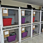 Business 21 image AMI POUR LA VIE Shopping in Montréal QC