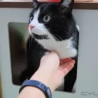 Business 32 image AMI POUR LA VIE Shopping in Montréal QC