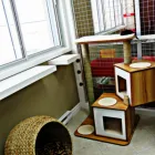 Business 33 image AMI POUR LA VIE Shopping in Montréal QC