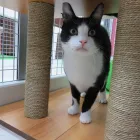 Business 5 image AMI POUR LA VIE Shopping in Montréal QC