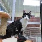 Business 6 image AMI POUR LA VIE Shopping in Montréal QC