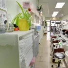 Entreprises 12 image ANGELINA NAIL & SPA Nail Salons & Technicians dans Etobicoke ON