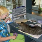 Business 5 image ANIMAL MEDICAL CENTRE EDMONTON LTD Veterinarians in Edmonton AB