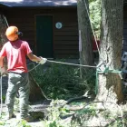 Business 3 image AP TREE SERVICE Tree Work & Forestry Services in Bowmanville ON