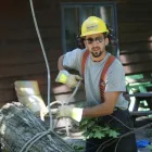 Business 1 image AP TREE SERVICE Tree Work & Forestry Services in Bowmanville ON