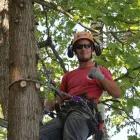 Business 2 image AP TREE SERVICE Tree Work & Forestry Services in Bowmanville ON