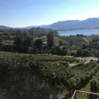 Business 9 image APRÈS WINE TOURS travel & tourism in Kelowna BC
