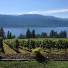 Business 1 image APRÈS WINE TOURS travel & tourism in Kelowna BC