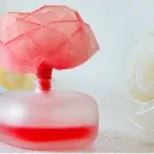 Business 1 image ART PASSION TRADING Shopping in Vancouver BC