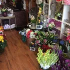 Entreprises 1 image AUTHENTIC FLORAL DESIGN Shopping dans Windsor ON