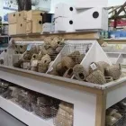 Business 8 image AVIZOO DÉPÔT Shopping in Montréal QC