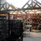 Business 1 image AVIZOO DÉPÔT Shopping in Montréal QC