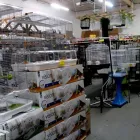 Business 2 image AVIZOO DÉPÔT Shopping in Montréal QC